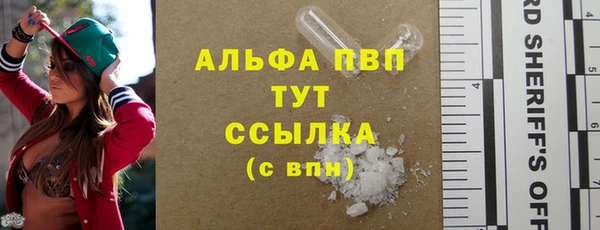 гашик Новозыбков