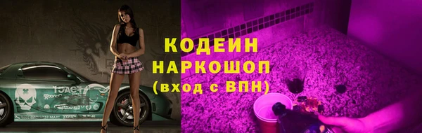 гашик Новозыбков