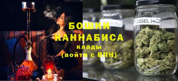 гашик Новозыбков