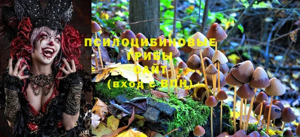 меф Новокубанск