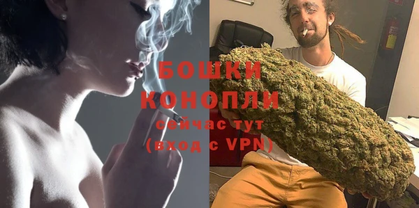 гашик Новозыбков