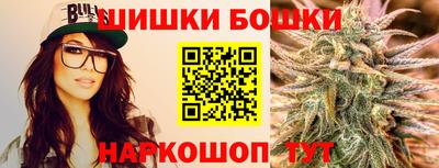 стаф Дубна