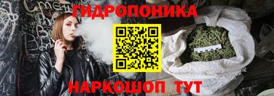 крисы Апшеронск