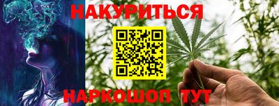 стаф Дубна