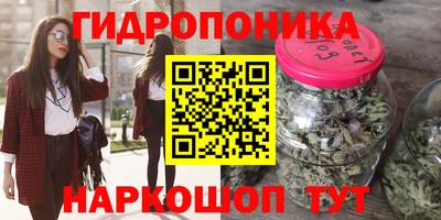 крисы Апшеронск