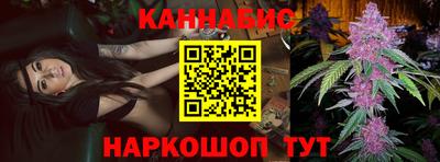 стаф Дубна