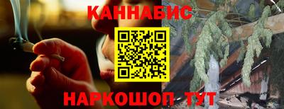 стаф Дубна