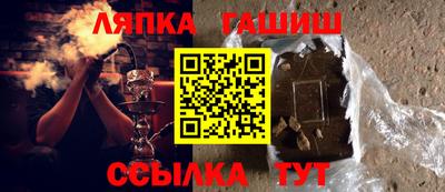 стаф Дубна