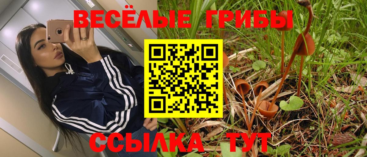 Псилоцибиновые грибы ЛСД  Кудымкар 